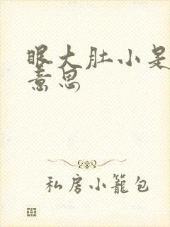 眼大肚小是什么意思
