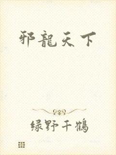 邪龙天下