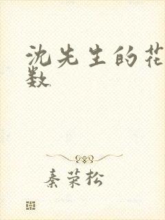 沈先生的花式调数封面