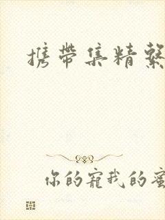 携带集精系统