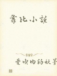 靠比小说