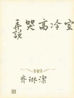 弄哭高冷室友小说