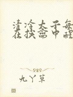 清冷太子每日都在挨龠中醒来小说