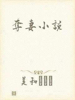 夺妻小说