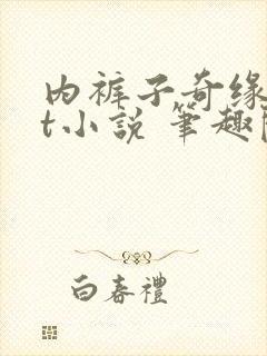 内裤子奇缘txt小说 笔趣阁封面