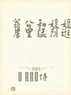 翁公和媛媛在厨房里猛烈进出
