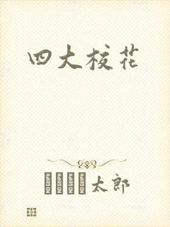 四大校花封面