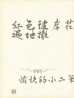 红色彼岸花花瓣遍地撒