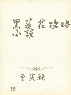 黑莲花攻略手册小说封面
