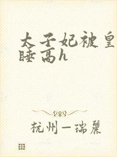 太子妃被皇上强睡高h封面