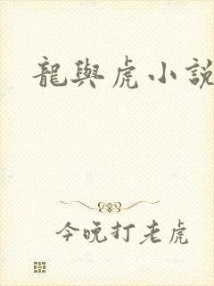 龙与虎小说