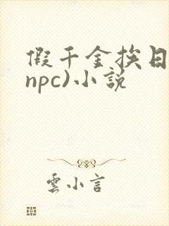 假千金挨日记(npc)小说
