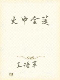 火中金莲封面
