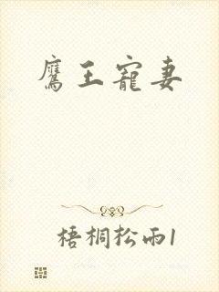 鹰王宠妻