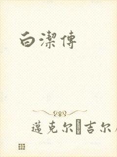 白洁传封面