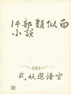 14部类似白洁小说封面