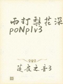 雨打梨花深闭门poNp1v3封面