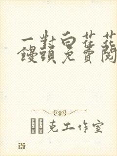 一对白花花的大馒头免费阅读