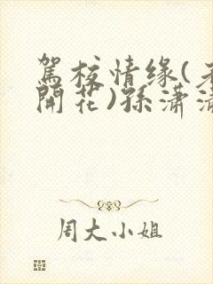 驾校情缘(老树开花)孙潇潇笔趣阁封面