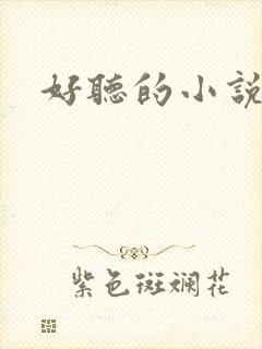 好听的小说名字封面