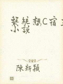 系统想C宿主的小说