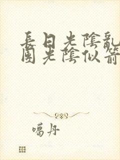 长日光阴乱作一团光阴似箭笔渺封面