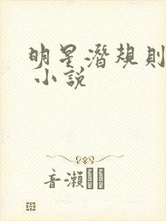 明星潜规则之皇 小说