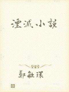 湮灭小说
