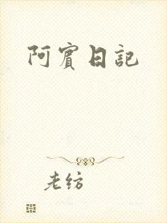 阿宾日记封面
