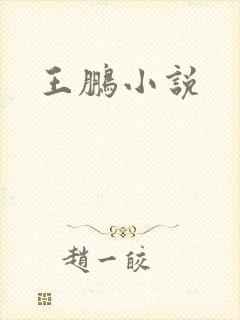 王鹏小说