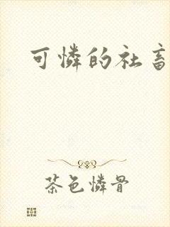 可怜的社畜