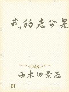 我的老公是冥王