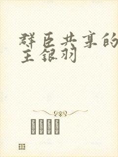 群臣共享的小公主银羽封面