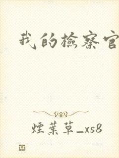 我的检察官先生