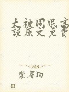 大被同眠高粱小说原文免费阅读