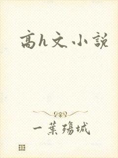 高h文小说封面