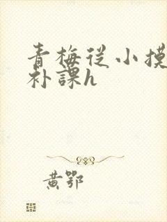青梅从小摸到大补课h