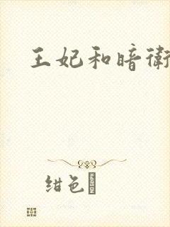 王妃和暗卫野H