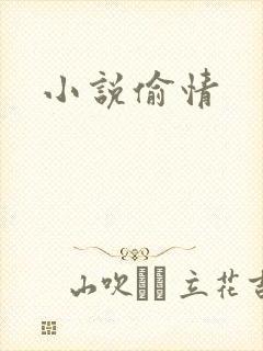 小说偷情