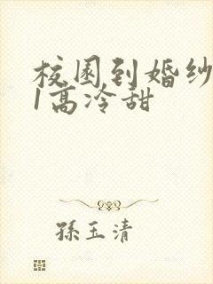 校园到婚纱1V1高冷甜封面