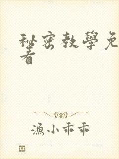 秘密教学免费观看封面