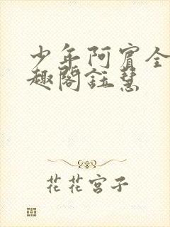 少年阿宾全文笔趣阁钰慧封面