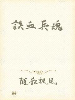 铁血兵魂封面
