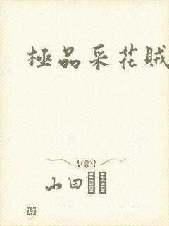 极品采花贼