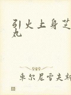 引火上身芝麻糖丸