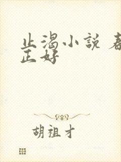 止渴小说 春光正好封面