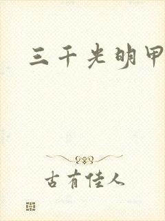 三千光明甲