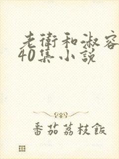老卫和淑容1-40集小说