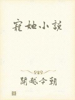 宠她小说封面