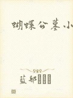 蝴蝶公墓小说